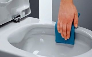Подвесной унитаз Laufen Pro (8.2096.5.000.000.1)