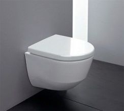 Безободковый унитаз Laufen Pro (8.2096.5.000.000.1)