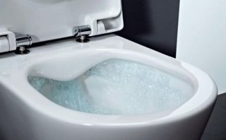 Безободковый унитаз Laufen Pro (8.2096.5.000.000.1)