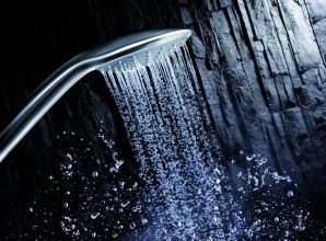 Душевая лейка Grohe Euphoria (27265000)