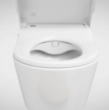 Элитный унитаз Roca Inspira (803060001)