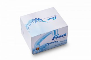 Смеситель для ванны с душем FAUZT FZs-840-115 тип См-ВОРНШлА