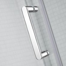 Душевое ограждение 100*100 RUSH Palm (PI-A1100100)