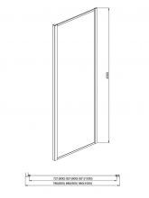 AQ ARI WA 09020GM Неподвижная душевая стенка 900x2000, для комбинации с дверью, профиль оружейная сталь, стекло прозрачное